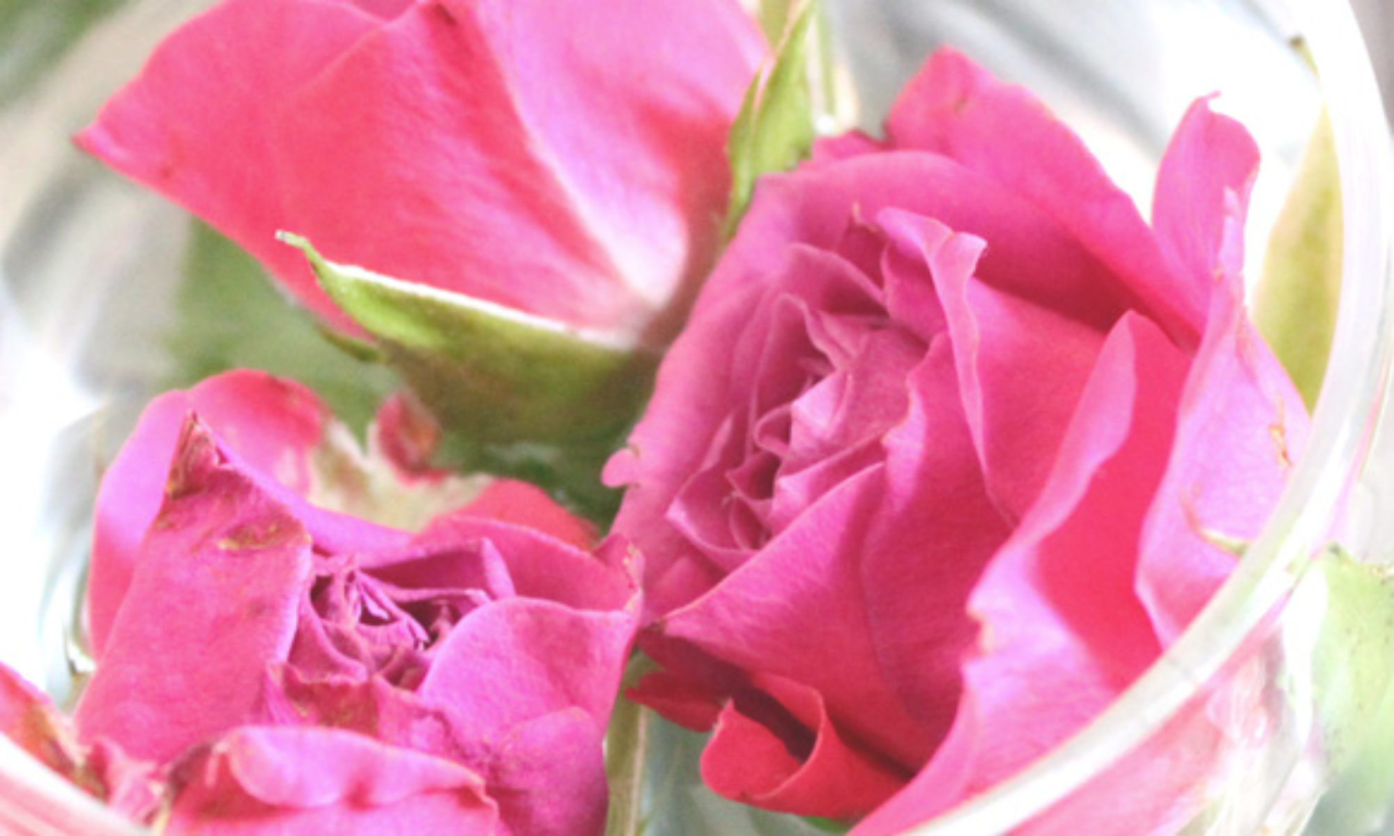 ハーブとアロマで美魔女になる!